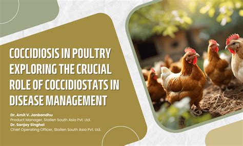 Coccidiosis In Poultry Sr Publications