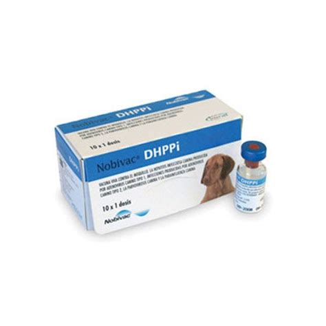 Nobivac Dhppi Canine Distemper Virus Adenovi Packaging Type Bottle