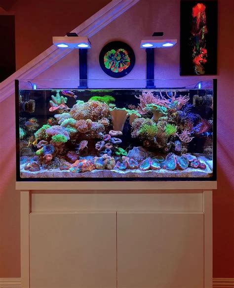 Wondrous Aquarium Design Ideas For Your Extraordinary Home