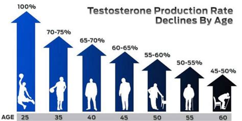 Testosterone By Age Dr Sam Robbins