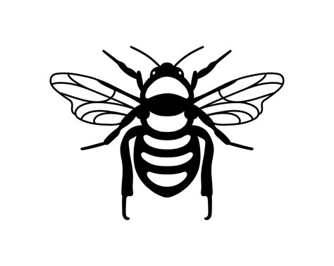 Honey Bee Svg Bees Svg Files Bee Png Download Bee Clipart Insect