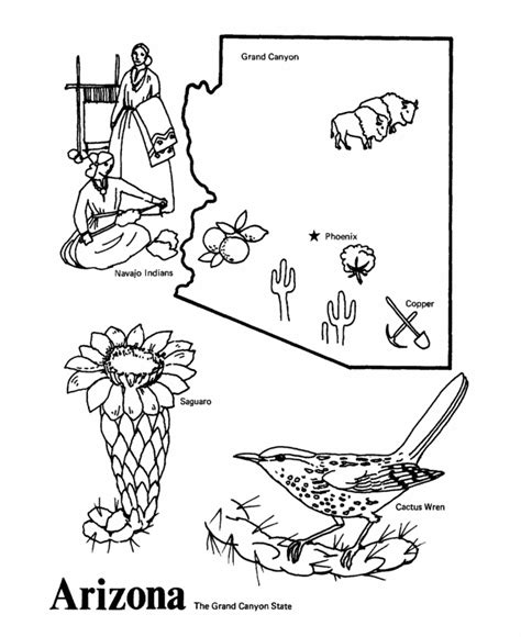 Explore The Beauty Of Arizona With State Outline Coloring Pages Learn