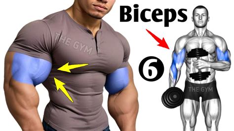 6 Perfect Exercises Bigger Biceps Workout Bicep Workout Youtube