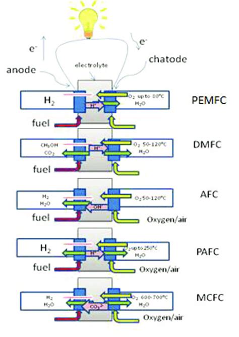 Type Of Fuel Cells Pemfc Dmfc Afc Pafc And Mcfc Adapted From16