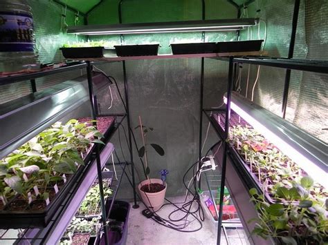 Basement Greenhouse Greenhouse Farming Indoor Greenhouse City Farm