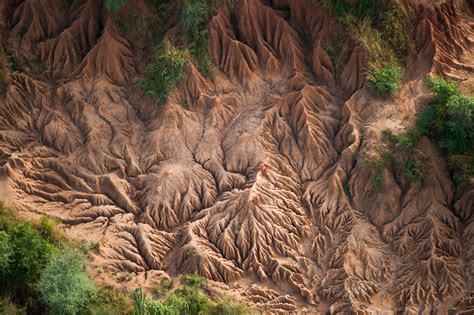 Rift Wall Joel Sartore