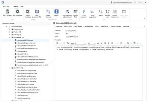 Documenting Stored Procedures And Functions Dataedo Documentation