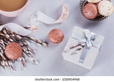 French Pussy Willow Stock Photos 98 Images Shutterstock