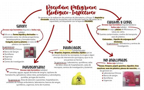 Mapa Conceptual Rpbi Apuntes Proceso Rpbi Resi Duos Peli Grosos Porn