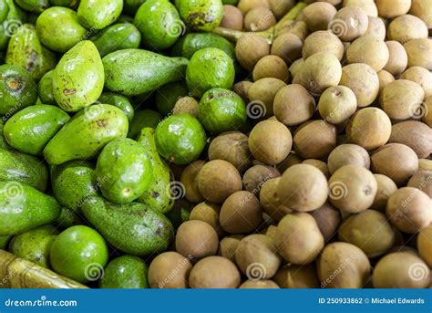 Avocados and Sapodilla, Known Locally As Chico, for Sale at a Fruit ...