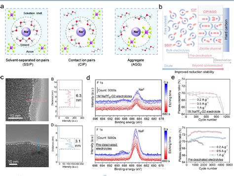 Toward High Performance Anodes For Sodium Ion Batteries From Hard Carbons To Anode Free Systems