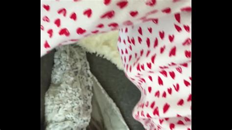 Cum On Abs Videos XVIDEOS