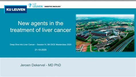 First Ever Liver Cancer Masterclass Educates Members Digestive Cancers Europe