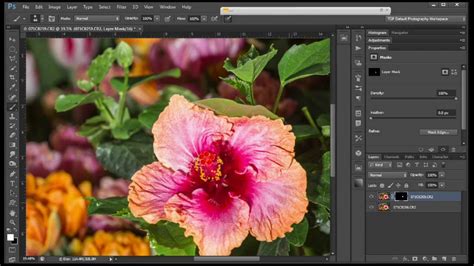 A Focus Stacking Workflow For Lightroom And Photoshop YouTube