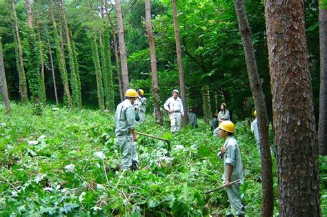 森林の役割や保全技術森林資源の活用について学ぶ 宮城県公式ウェブサイト