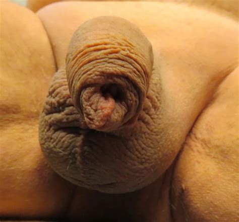 Schwanz Rasur 24 Nude Pics XHamster