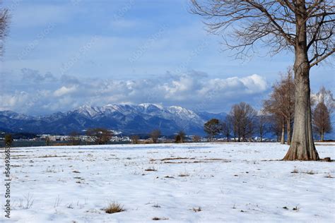 雪が積もった琵琶湖畔の公園と湖西の山並みの風景 Stock Photo Adobe Stock