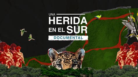 Una Herida En El Sur El Documental Que Revela Los Impactos Del Tren