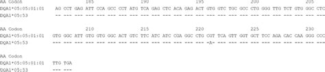 Alignment Of The Sequence Of Exon 4 Of HLADQA1 05 53 With The Sequence