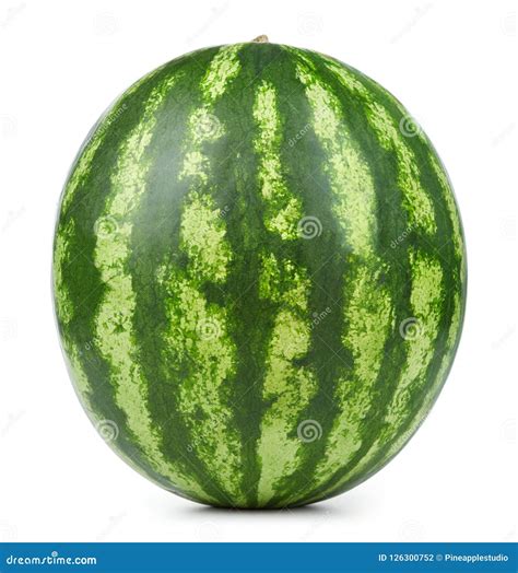 Whole watermelon isolated stock photo. Image of isolated - 126300752