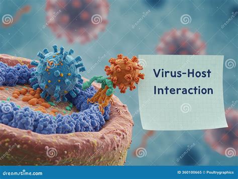 molecular mechanisms  virus host interaction cellular entry