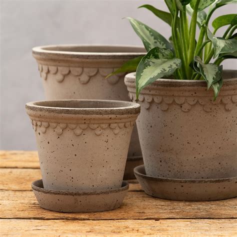 Buy Scalloped Tapered Plant Pot With Saucer Grey Terracotta Delivery