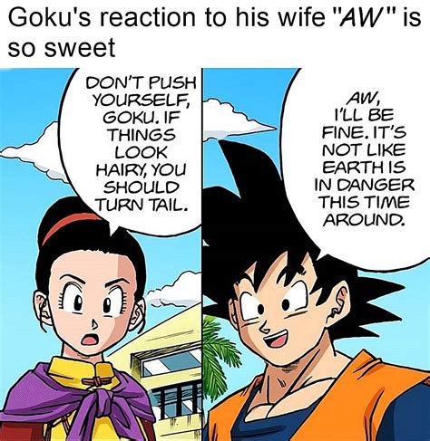 Dragon Ball: Reasons Goku Should Have Married Bulma (& Why, 43% OFF