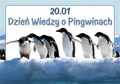 Dzie Wiedzy O Pingwinach Edupassion