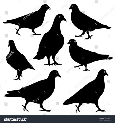 Pigeons Silhouette Vector Stock Vector Royalty Free 282912563