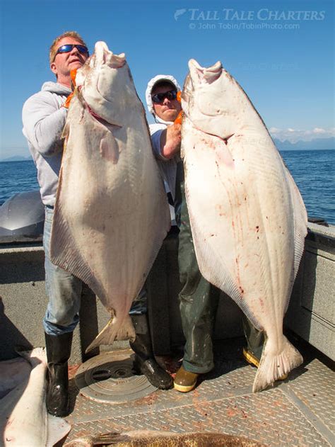 Halibut Fishing Homer Alaska At Amberfpriceo Blog