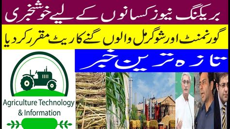 Good New Punjab Govt And Sugar Mils Approve Sugarcane Rate 2023 24