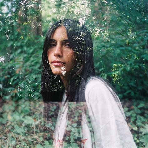 dina reviews features