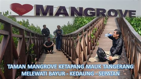 Taman Mangrove Ketapang Mauk Tangerang Lewat Bayur Kedaung Sepatan