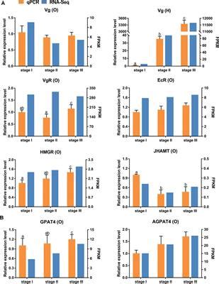 Frontiers Comparative Transcriptome Analysis Reveals The Process Of