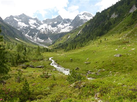 Glacier in the Rocky Mountains - Definitions & Diagram - Jake's Nature Blog