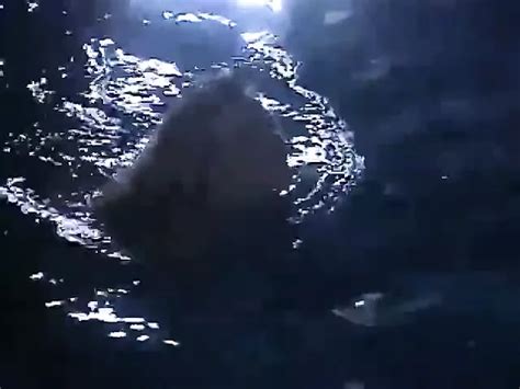 Playboy Wet Wild Ix Retro Porn XHamster