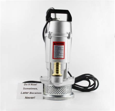 Hp Stainless Steel Submersible Water Pump Qdx Ss Submersible Pump