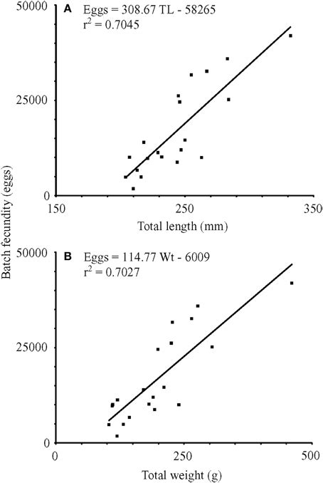 Linear Regressions Of Batch Fecundity Vs A Total Length Mm And B