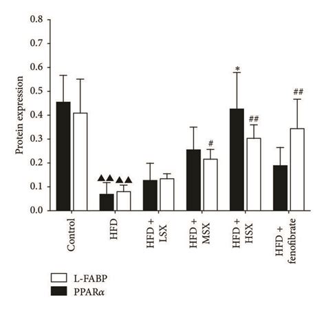 Effects of SX on the protein expressions of PPARα and L FABP on NASH