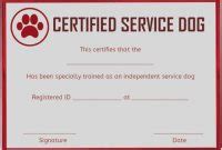 Service Dog Certificate Template 9 – Various Templates Ideas