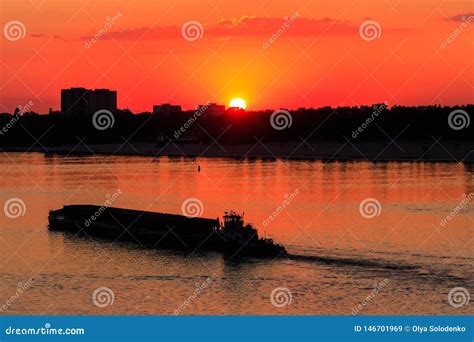 Tugboat Pushing Heavy Long Barge On The River Dnieper At Sunset Stock