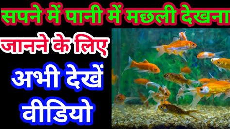 सपन म पन म मछल दखन sapne me pani me machli dekhna YouTube