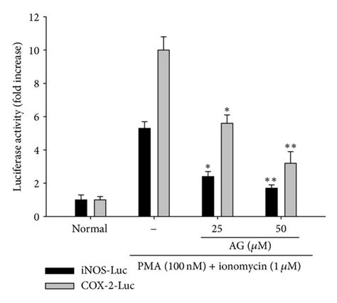 The Effect Of Ag On Mrna Expression Of Inos Cox 2 And Tnf α Genes In