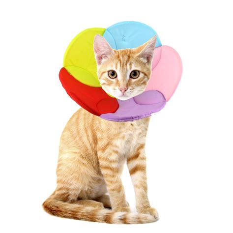 cone for cats 6