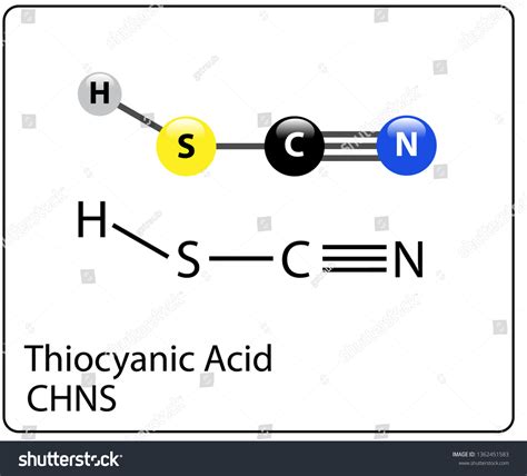 Thiocyanic Acid Molecule Structure Stock Vector Royalty Free 1362451583 Shutterstock