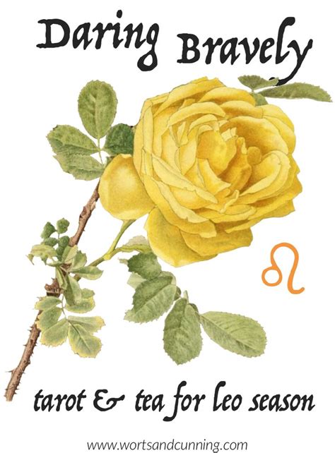 A Yellow Rose With The Words Daring Bravely Tart Tea For Leo Season