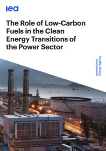 The Role Of Low Carbon Fuels In The Clean Energy Transitions Of The