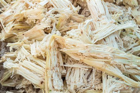 bagasse stock photo  image  istock