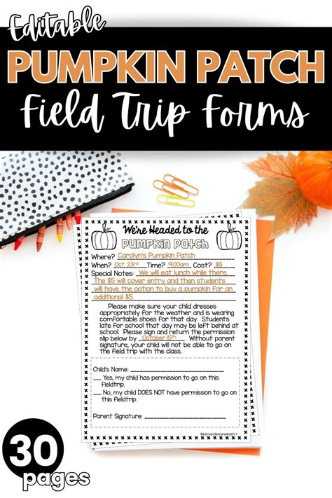 Pumpkin Patch Field Trip Tips Teacher Questions Advice And Freebies