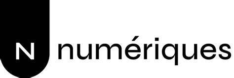 numeriques  dynamic digital marketing campaigns  seamless